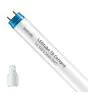 Philips Tubo LED T8 CorePro (EM/Mains) Standard Output 14.5W 1600lm - 840 Bianco Freddo | 120cm - Sostitutiva 36W
